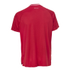 Футболка SELECT Monaco v24 player shirt s/s Red